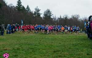 NOUVELLE ANNÉE et 1ère sortie pour nos 2 cadets !