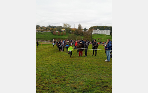 5dd26961cef12_IMG201911171202260.jpg