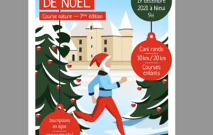 Embûche de Noël (87)