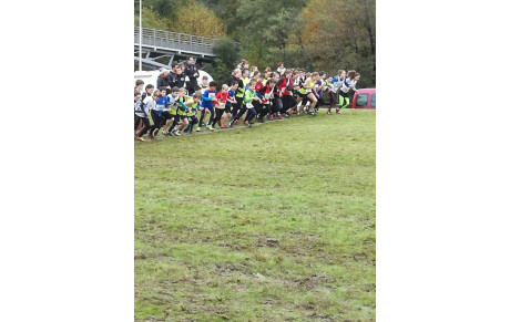 CROSS de LIMOGES